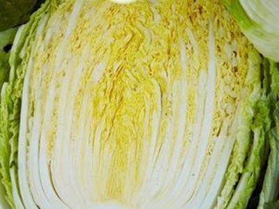 Picture of Cabbage - Wombok Half