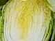 Picture of Cabbage - Wombok Half