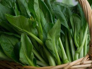 Picture of Choy-Sum
