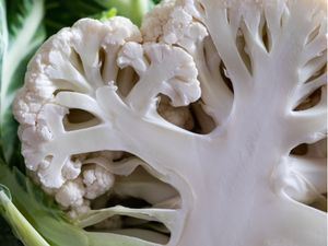 Picture of Cauliflower - Half