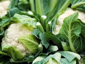 Picture of Cauliflower - Whole