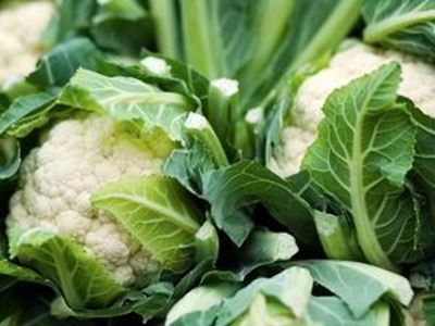 Picture of Cauliflower - Whole