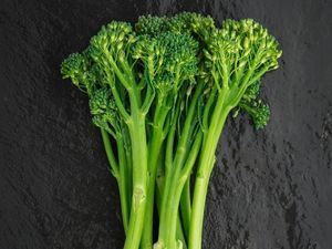 Picture of Broccoli - Baby