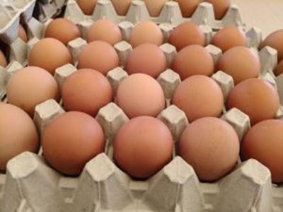 Picture of Eggs - 20 tray - Lge