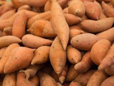Picture of Potatoes - Sweet Gold (500g)