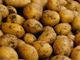 Picture of Potatoes - Dutch Cream (ORGANIC) - 500g