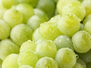 Picture of Grapes - White Seedless (250g)