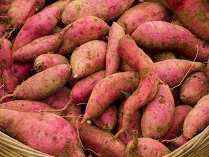 Picture of Potatoes - Sweet Gold (500g)