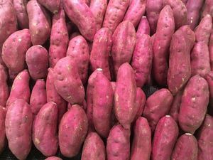 Picture of Potatoes - Sweet Purple Red (500g)