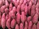 Picture of Potatoes - Sweet Purple Red (500g)