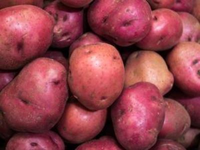 Picture of Potatoes - Red (500g)