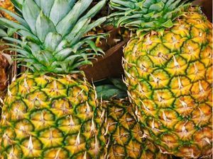 Picture of Pineapple - Lge