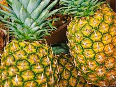 Picture of Pineapple - Lge