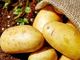 Picture of Potatoes - Nicola (500g)