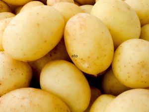 Picture of Potatoes - Washed (2.5kg bag)