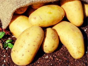 Picture of Potatoes - Washed (5kg bag)