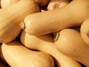 Picture of **WEEKLY SPECIAL** Pumpkin - Butternut - Cut (1.5kg)