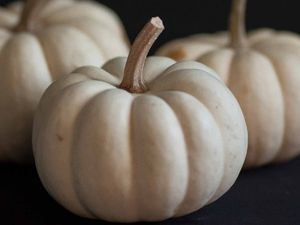 Picture of Pumpkin - Jarradale - Cut (1.5kg)