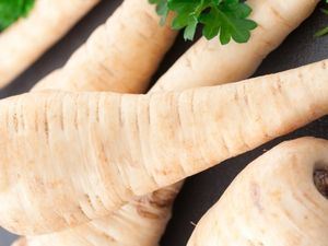 Picture of Parsnip