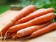 Picture of Carrots - Organic