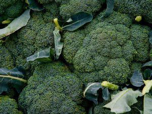 Picture of Broccoli - Organic