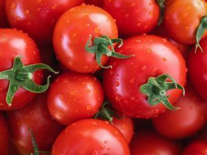 Picture of Tomato (Organic)