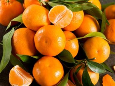 Picture of Mandarins - Imperial - Sml