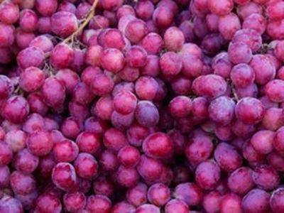 Picture of Grapes - Seedless Crimson (250g)