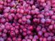 Picture of Grapes - Seedless Crimson (250g)