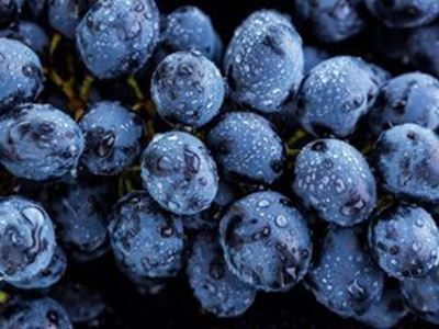 Picture of Grapes - Seedless Crispy Dream (250g)