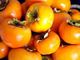 Picture of Persimmon - Vanilla - Lge