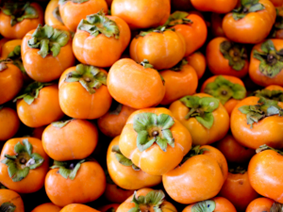 Picture of Persimmon - Vanilla - Sml