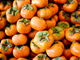 Picture of Persimmon - Vanilla - Sml